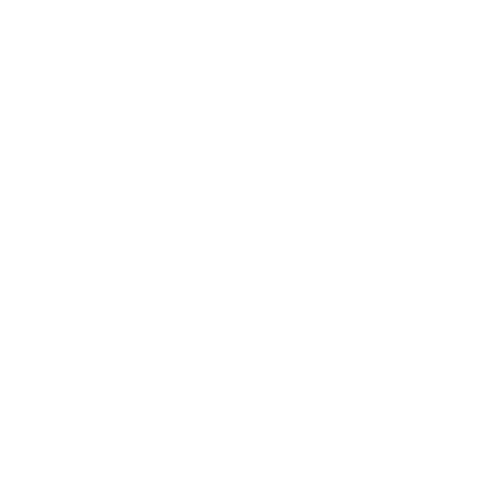 snd.world logo